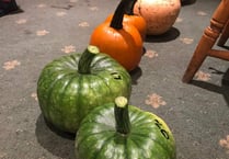 Petersfield growers show they have the pumpkin power!