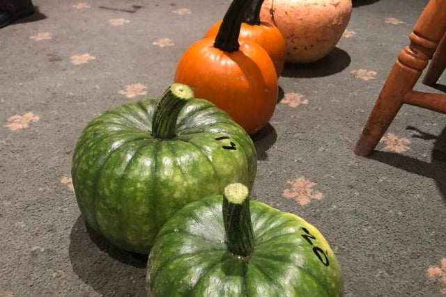 Petersfield growers show they have the pumpkin power!