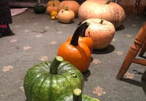 Petersfield growers show they have the pumpkin power!