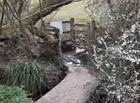 Kissing gate opens onto sunny walk from Petersfield to Buriton