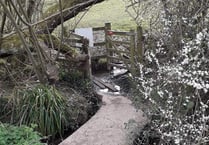 Kissing gate opens onto sunny walk from Petersfield to Buriton