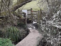 Kissing gate opens onto sunny walk from Petersfield to Buriton