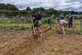Demand for allotments is growing at huge rate