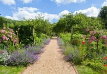 Chawton House to re-open gardens this weekend
