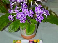 Church centre welcomes Bramshott, Liphook & District Horticultural Society autumn show