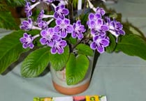 Church centre welcomes Bramshott, Liphook & District Horticultural Society autumn show