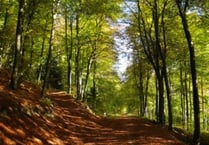 Queen Elizabeth Country Park gets Green Flag!