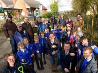 A tree-mendous boost as planting offsets emissions