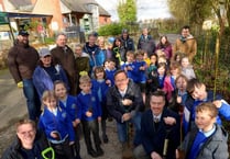 A tree-mendous boost as planting offsets emissions