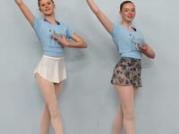 Ballet good show for star duo