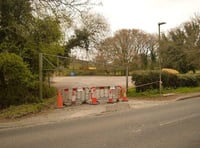 Plan for wildflower meadow on Heath