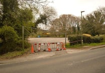 Plan for wildflower meadow on Heath