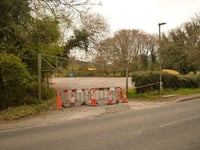Plan for wildflower meadow on Heath