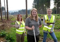 Tenth birthday for the national park