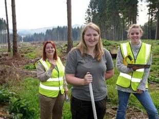 Tenth birthday for the national park