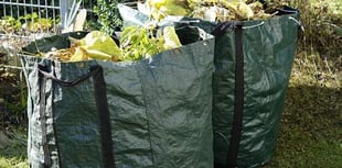 'Root and branch' review of East Hampshire's garden waste service