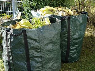 'Root and branch' review of East Hampshire's garden waste service