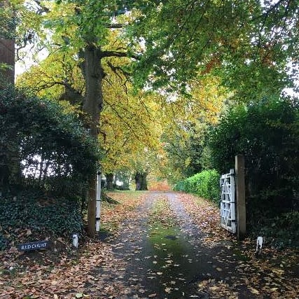 Letter: Haslemere’s countryside faces destruction unless we speak out