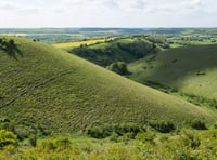 Butser to get £240,000 five-year makeover