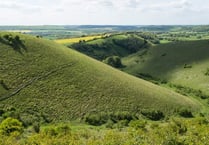 Butser to get £240,000 five-year makeover
