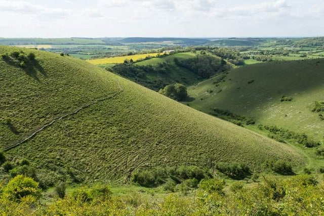 Butser to get £240,000 five-year makeover