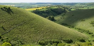 Butser to get £240,000 five-year makeover