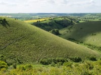 Butser to get £240,000 five-year makeover