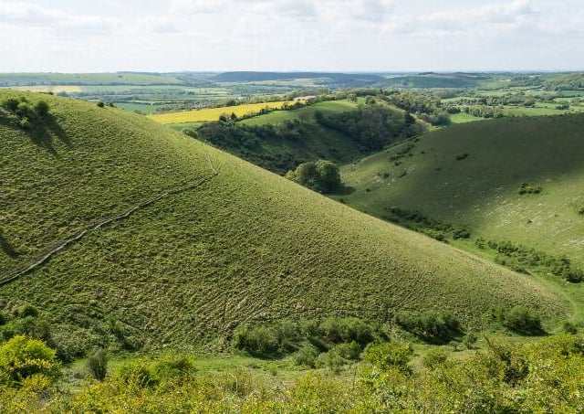 Butser to get £240,000 five-year makeover