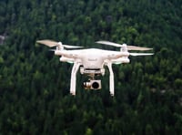 Liss man caught red-handed by police drone after probe into horsebox thefts