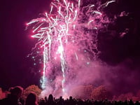 Rowlands Castle grants