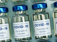 Covid-19 daily update