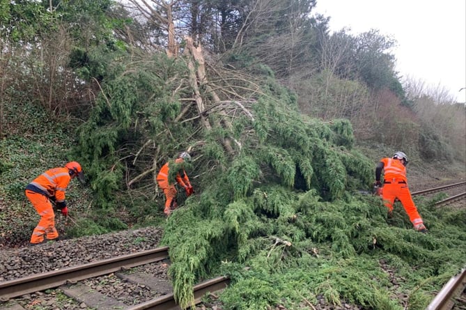 Network Rail is working to remove 30 collapsed trees - and a trampoline - from key routes on its network