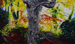 Exhibition in Alresford on the art of trees