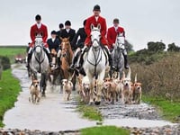 Traditional Boxing Day hunt to set off from Shalden near Alton