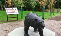 Residents of Headley Down looking for bronze bear Monty