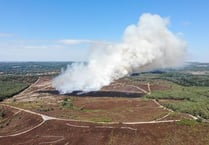 Bonfires not barbecues to blame for wildfire epidemic, says fire chief