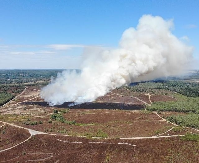 Firefighters tackling Hankley Common fire overwhelmed with donations