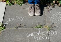 Weed it and reap: Let's pull together to give Petersfield a county first