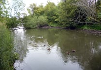 Stand for election – campaigners' idea for saving Kings Pond in Alton