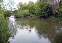 Petition to save Kings Pond in Alton reaches 1,000 signatures