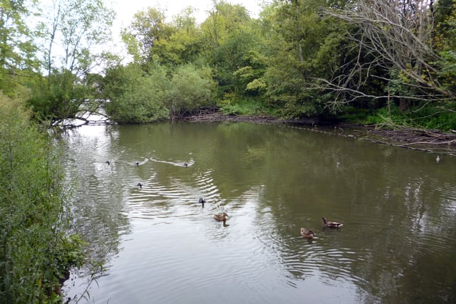 Kings Pond in Alton will not be debated before September