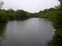Claim of ‘witch hunt’ over Kings Pond in Alton