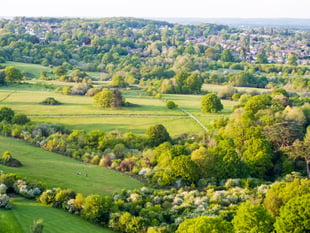 Dementia-friendly walk and scavenger hunt in Farnham Park next week