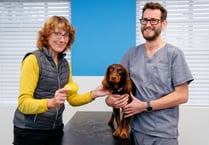 Vet saves spaniel choking on an apple