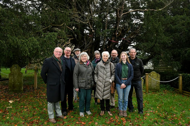 Pictured: Members from The Woodland Trust, East Hants District Council, South Downs National Park, Farringdon Parish Council and Farringdon Villagers gather together in front of the the new structures installed on the yew tree.
A group of villagers have banded together to raise £13,000 and save one of Britain's oldest trees for 'generations to come'. The 3,000-year-old ancient yew tree is among the country's ten oldest trees, and although it is healthy, it was becoming unstable.
Measuring 30ft 6ins at its narrowest point, the 'ancient exceptional' classed tree needed a special brace to support it and hold together the strands of its hollow trunk. 'Ancient exceptional' is one of the classifications of yew tree based on their age and girth, guided by the Ancient Yew Group's protocols, part of the National Churches Trust. SEE OUR COPY FOR DETAILS.
© Simon Czapp/Solent News & Photo Agency
UK +44 (0) 2380 458800