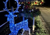 Illuminated stag welcomes Christmas visitors to Lindford 