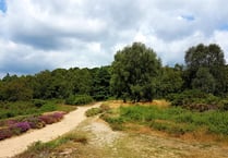 Grayshott man to quit National Trust over 'mismanagement' of common