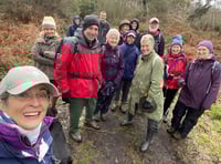 Year-long walking festival launches in Petersfield