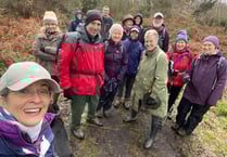 Year-long walking festival launches in Petersfield