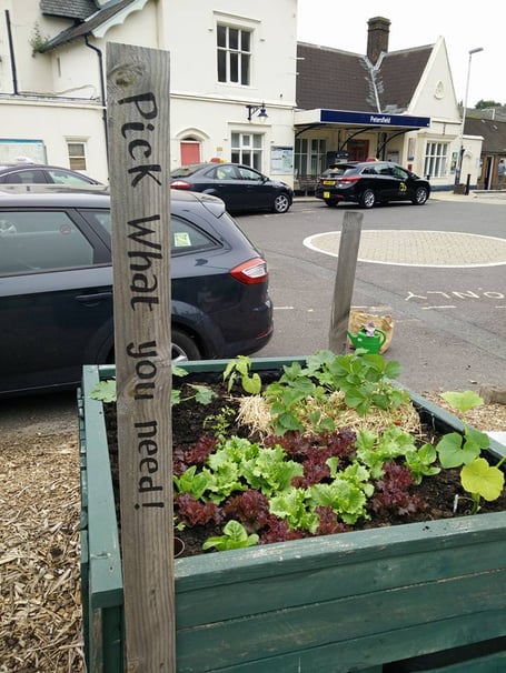 planters at Petersfield rail station